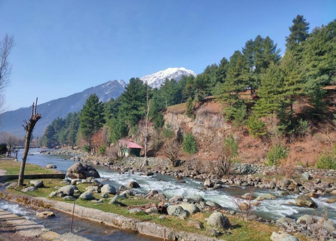New Relax Inn, Pahalgam, 2 Km From Lidder Valley מראה חיצוני תמונה