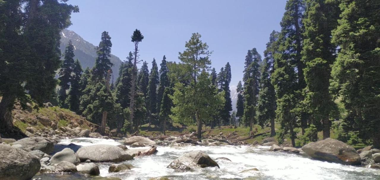 New Relax Inn, Pahalgam, 2 Km From Lidder Valley מראה חיצוני תמונה